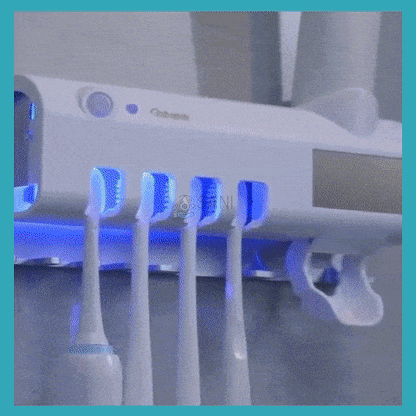 Carilla Postiza + Esterilizador Cepillos